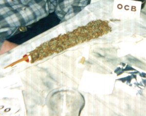collage j'sais pas combien d'feuilles mais il y en a beaucoup